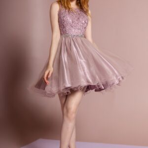 Lace Illusion Top A Line Short Graduation Dress Cocktail