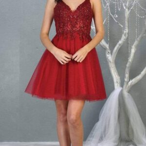 V-Neck Short Tulle Homecoming Dress Lace May Queen MQ1813