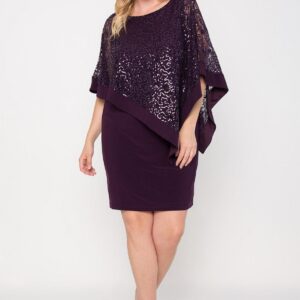 Mother of the Bride Short Dress Short R&M Richards 8749