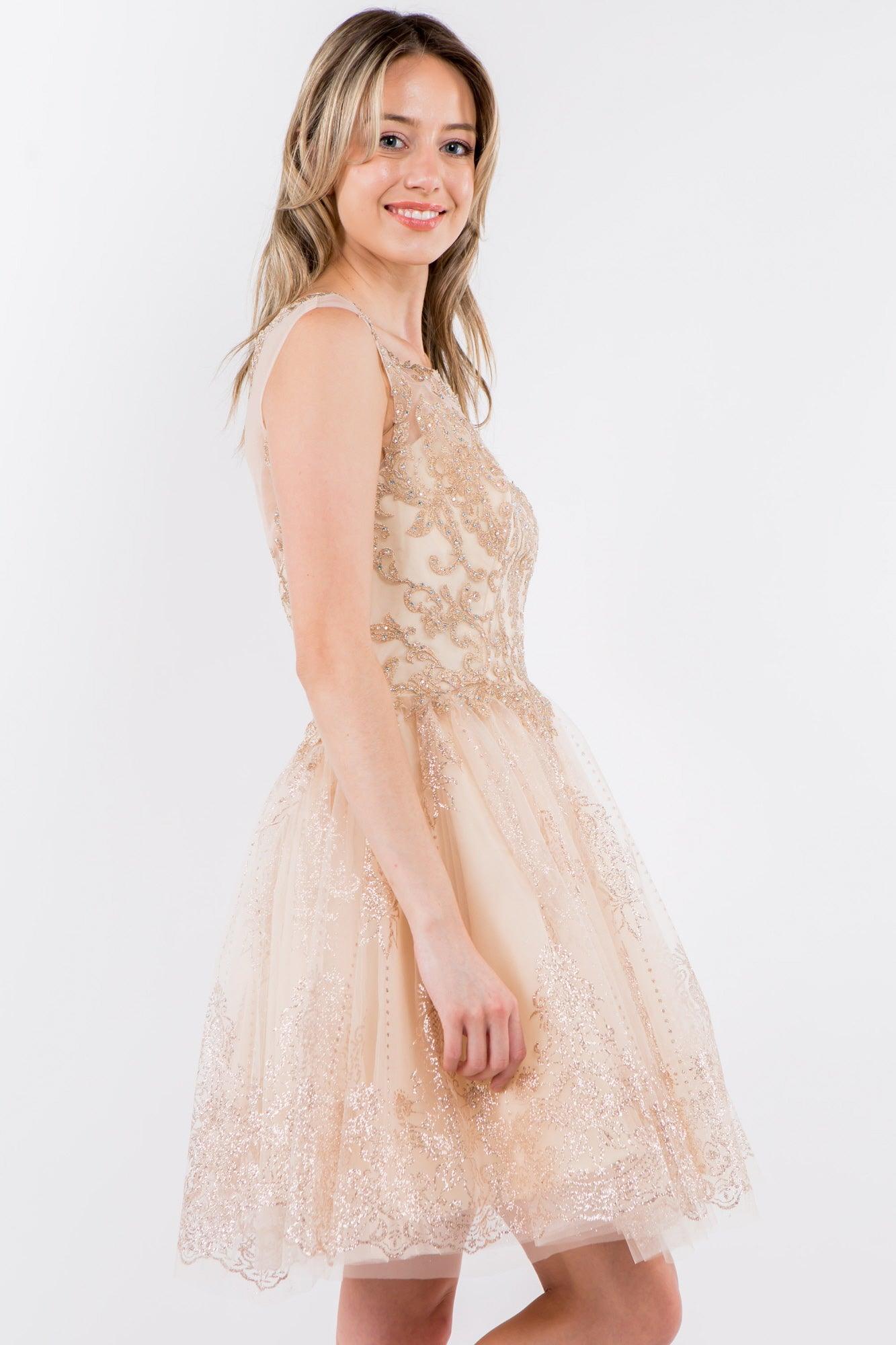 Sleeveless Glitter Short A Line Dress - Image 13